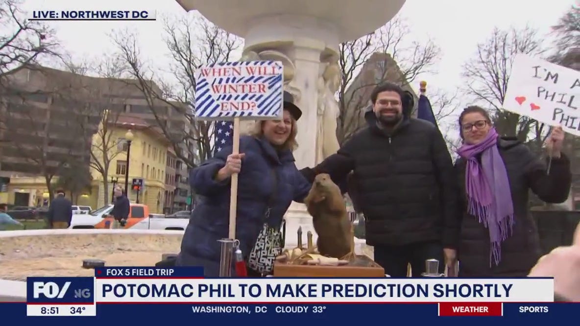 DC groundhog Potomac Phil calls for early spring; 6 more months of political gridlock